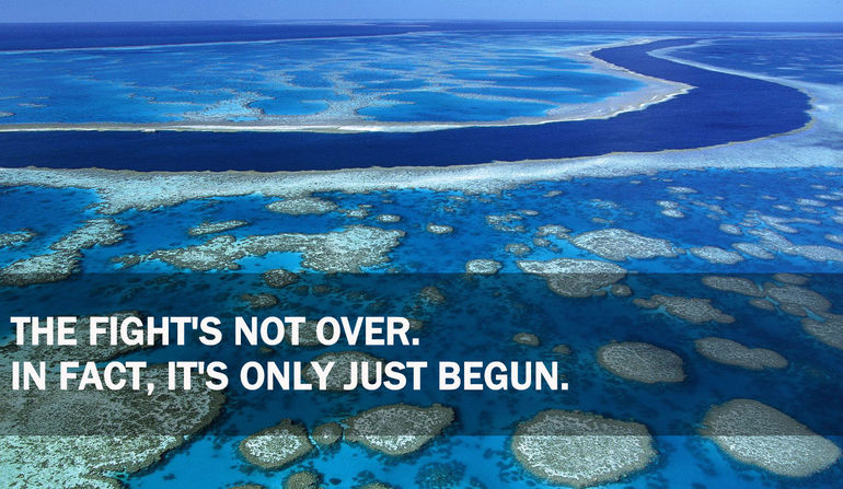 A fight to save the Great Barrier Reef 